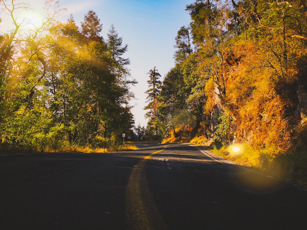 gray paved road