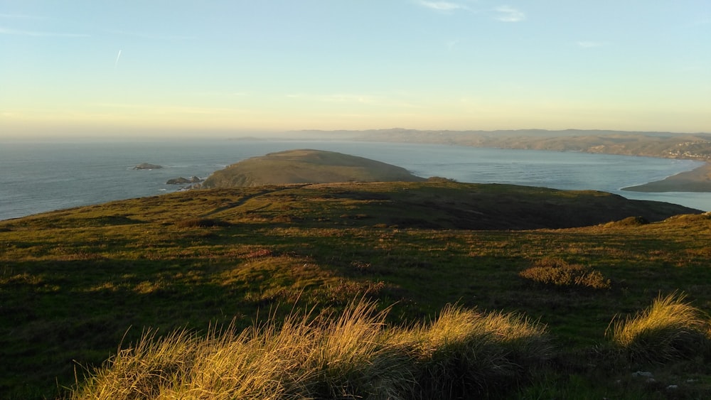 grass field and body of water