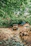 A vibrant group of tourists riding buggies through lush tropical trails under a bright blue sky.