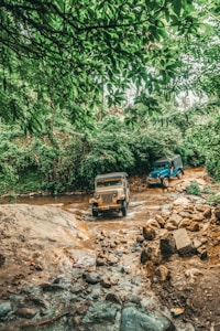 Two off-road vehicles traverse a shallow river with a rocky path surrounded by lush green foliage. One vehicle is tan, and the other is blue. Overhead, dense tree branches form a natural canopy. The scene is vibrant and teeming with greenery.