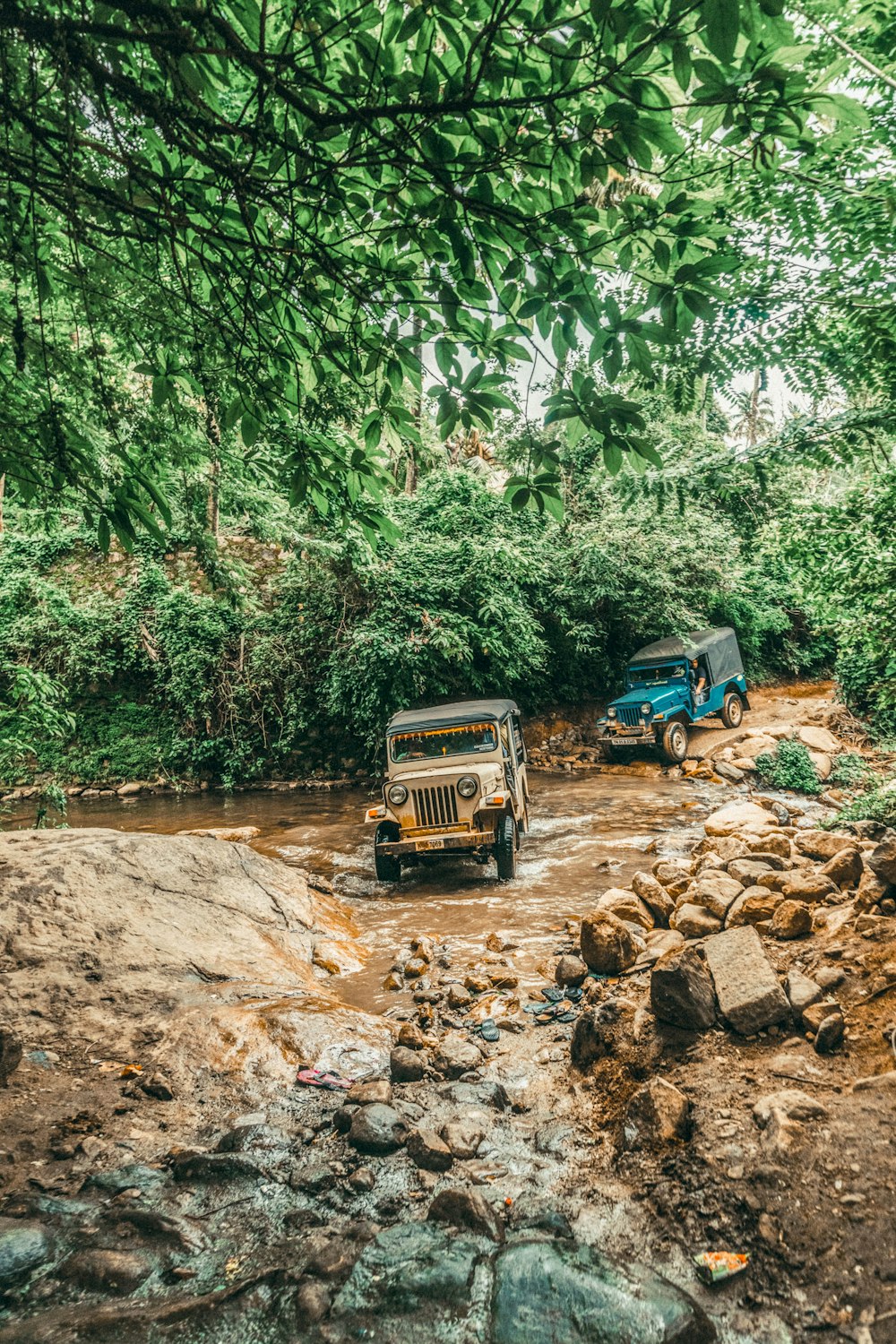 brown and blue Jeep Wranglers on rough road crossing river in forest