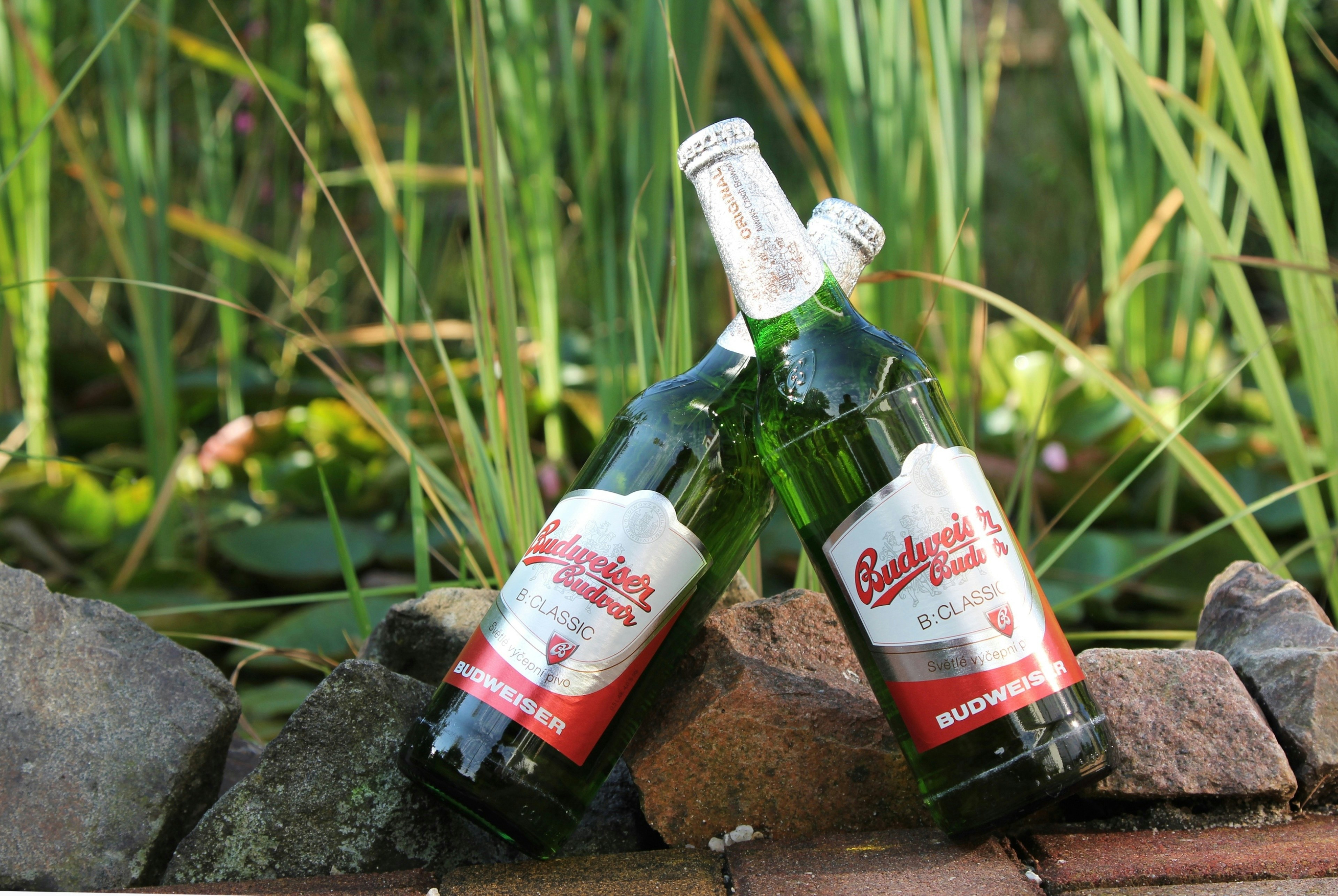 IJs- en bierterras Eylenbosch