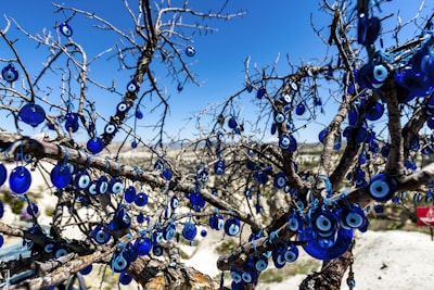 An intricately branched tree is adorned with numerous blue evil eye amulets set against a vibrant blue sky. The amulets, which are made of glass, hang plentifully from the tree's branches, catching the sunlight and creating a striking visual contrast with the barren branches. The landscape in the background is slightly blurred, emphasizing the foreground.