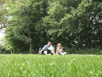 A serene outdoor scene featuring dogs interacting with children.