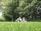 A family happily enjoying their pest-free backyard with children playing and a pet dog.