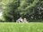 A family happily enjoying their pest-free backyard with children playing and a pet dog.