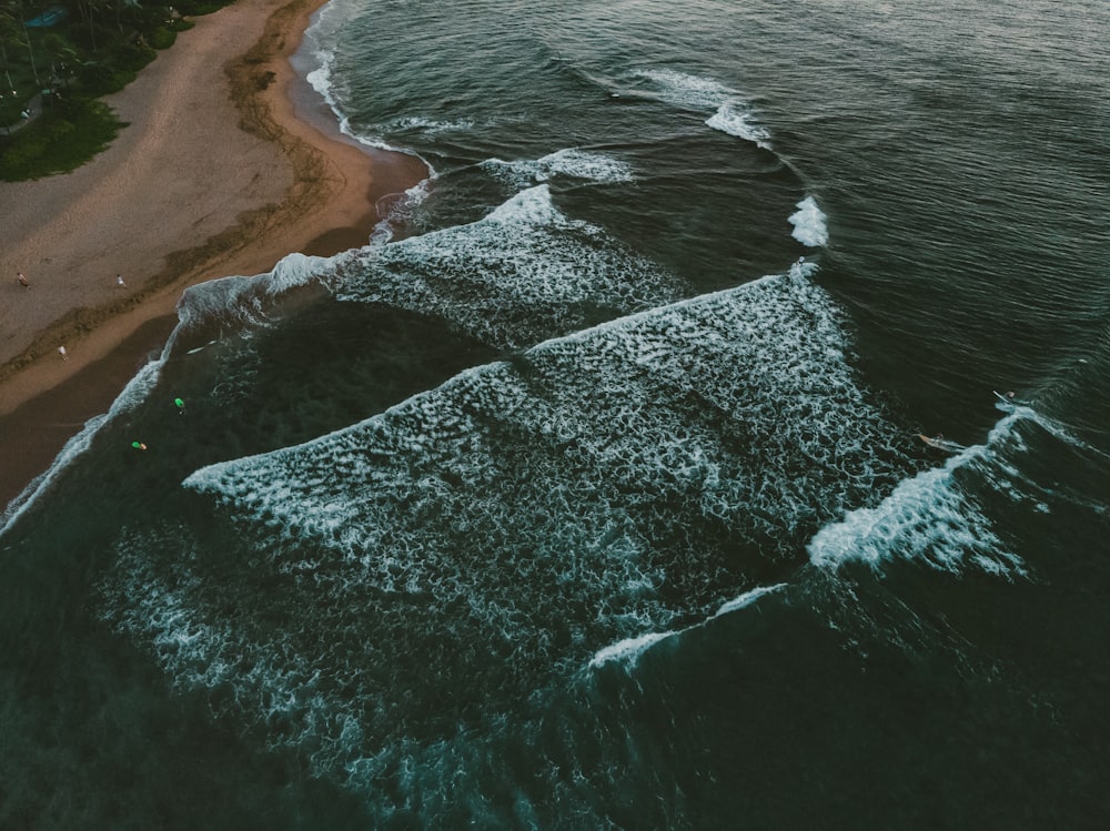 sea waves by the shore