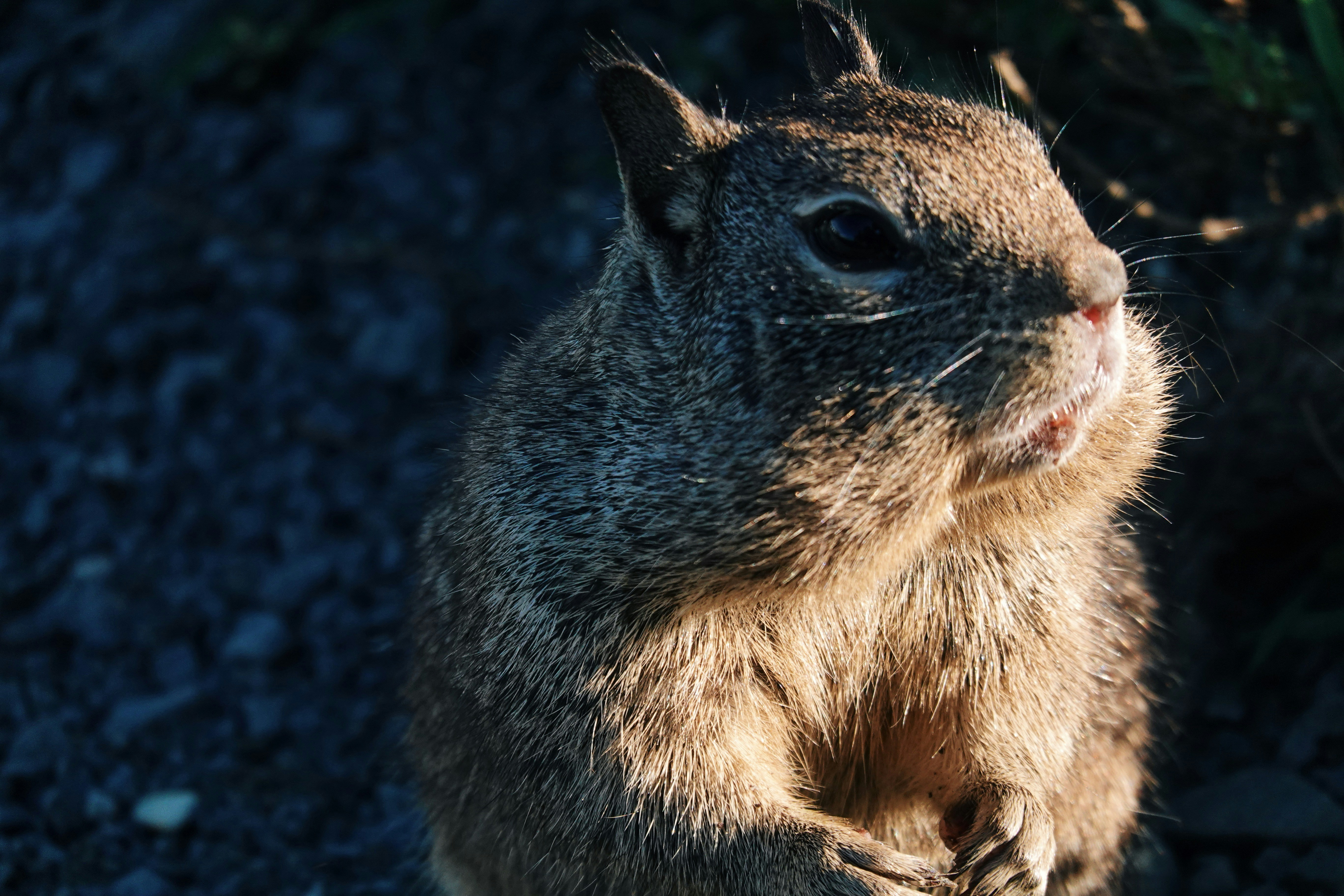 Photo by jessechan42