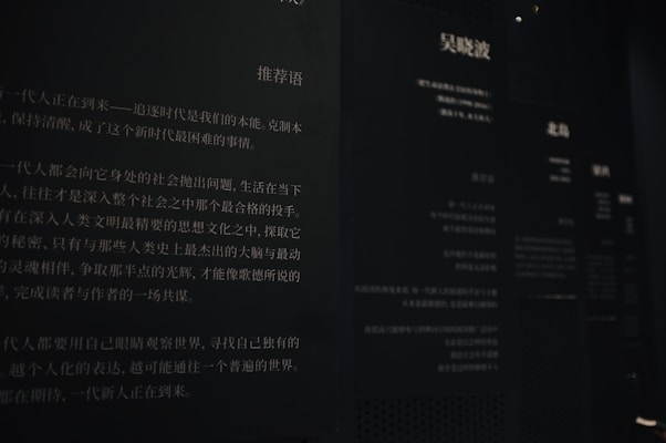 The image features a dimly lit wall with Chinese text printed in white on a dark background. The text appears to be part of an exhibit or informational display, possibly in a museum or gallery. Multiple columns and sections of text are visible, with some larger characters and headings near the top.