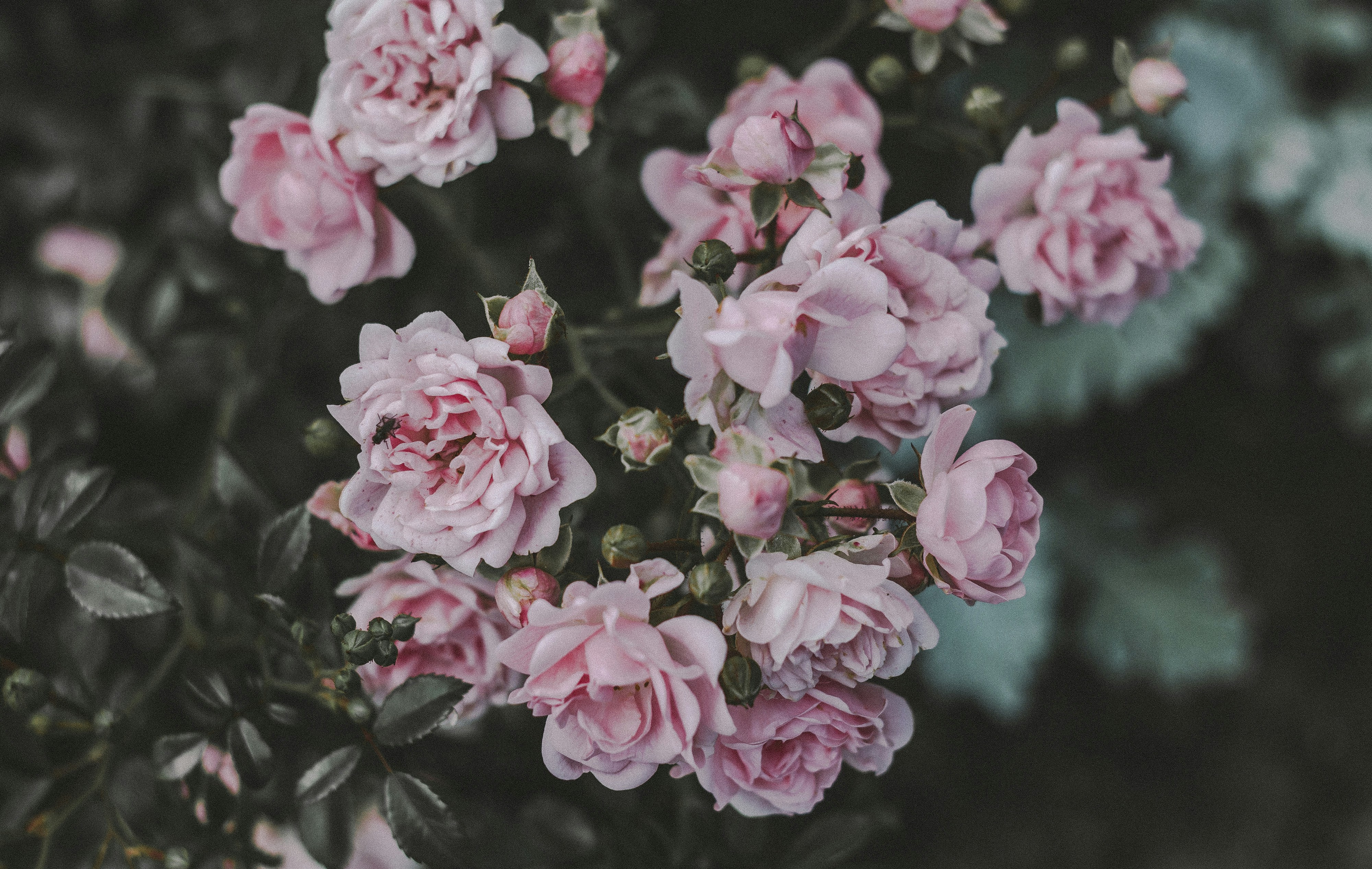 Why Your Incident Response Plan Falls Apart at 2 AM