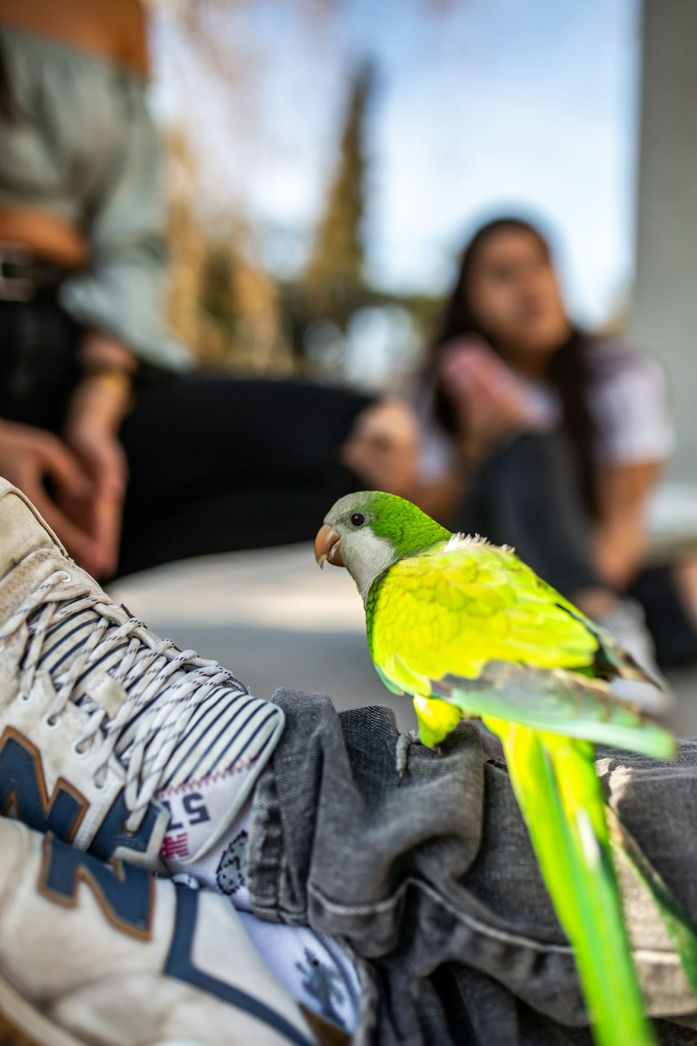 green bird perched on pants