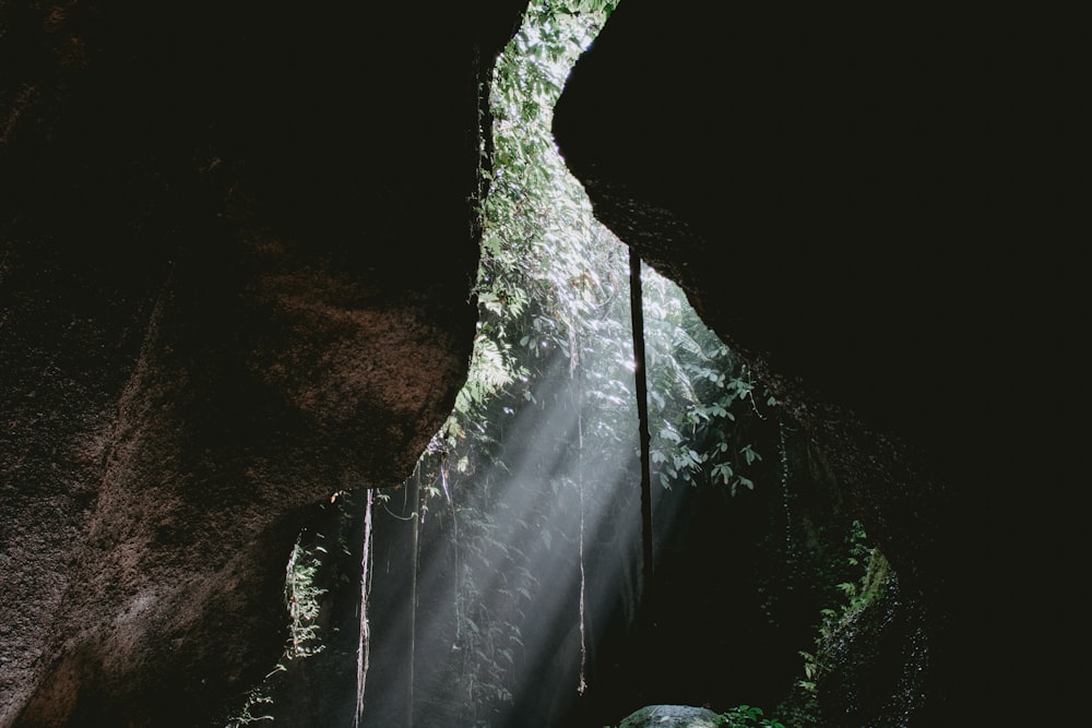 昼間は緑の植物が生い茂る洞窟を通り抜ける太陽光線