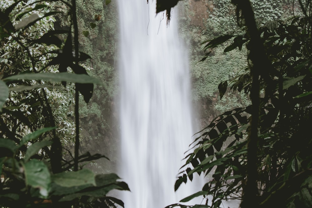 waterfall and trees during daytime