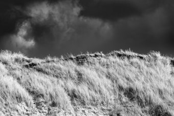 A black and white image featuring a section of tall, wild grass on a hillside. The grass appears windswept and covers the rolling terrain. Above, the sky is filled with dark, dramatic clouds, adding a sense of intensity to the scene.