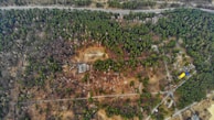 Aerial view of a vast forested area with dense clusters of green trees interspersed with patches of dry, brown vegetation. A few buildings are noticeable, nestled within the trees, and a road runs along the edge of the forest. Open clearings and pathways are visible, suggesting human activity within the landscape.