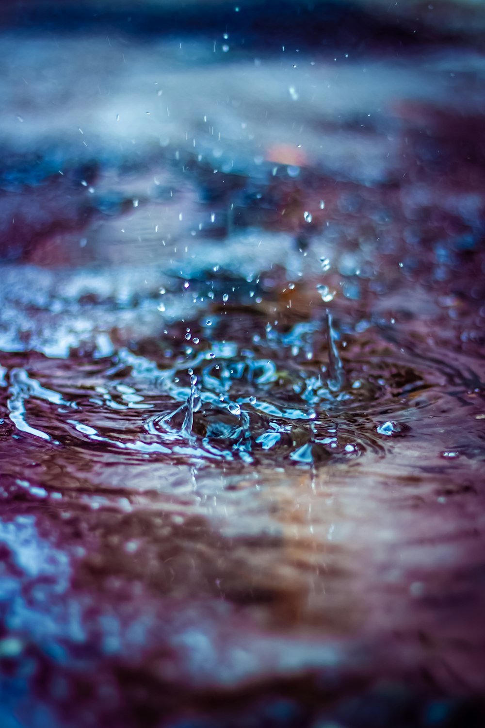 close up photo of water drops