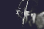 person playing guitar
