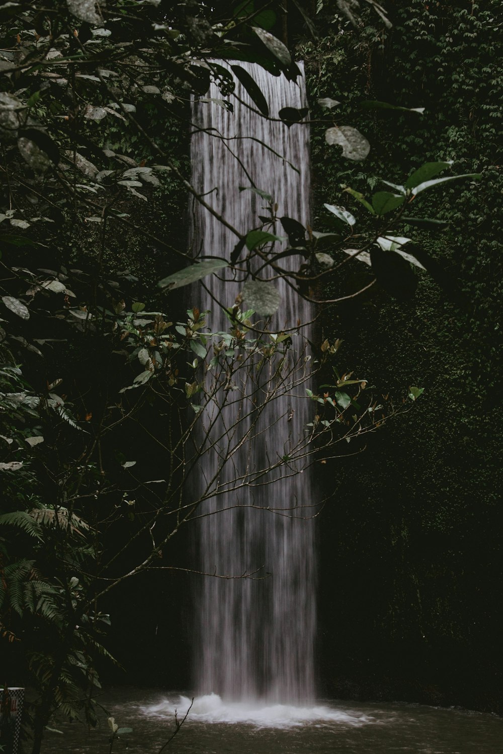 waterfalls in a forest