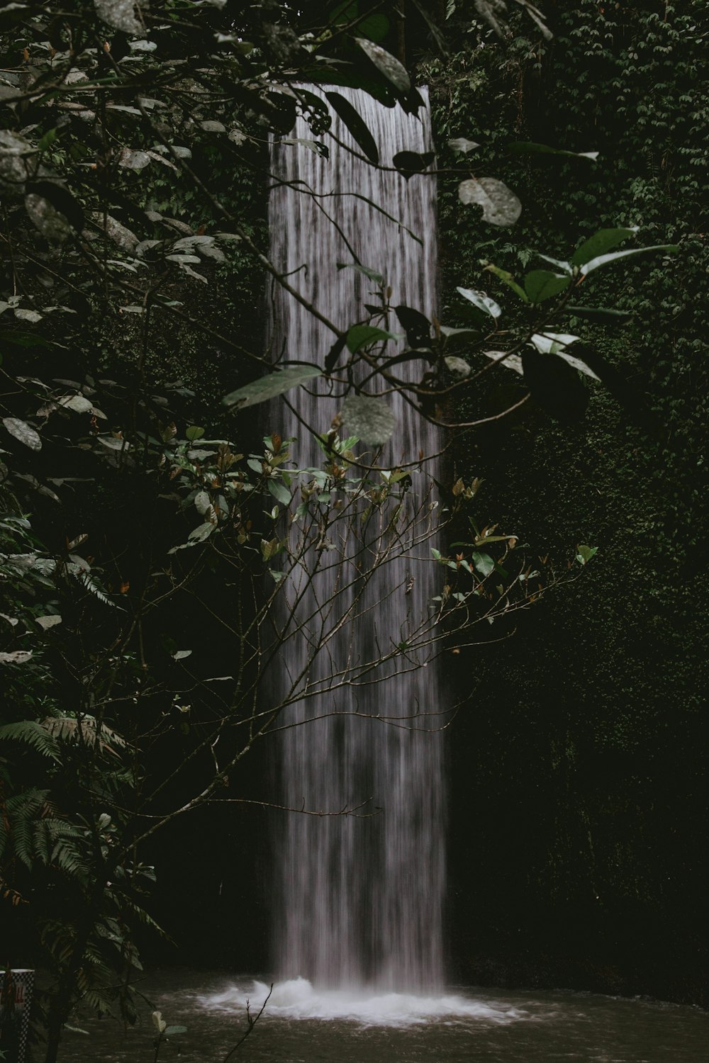 Cascate in una foresta