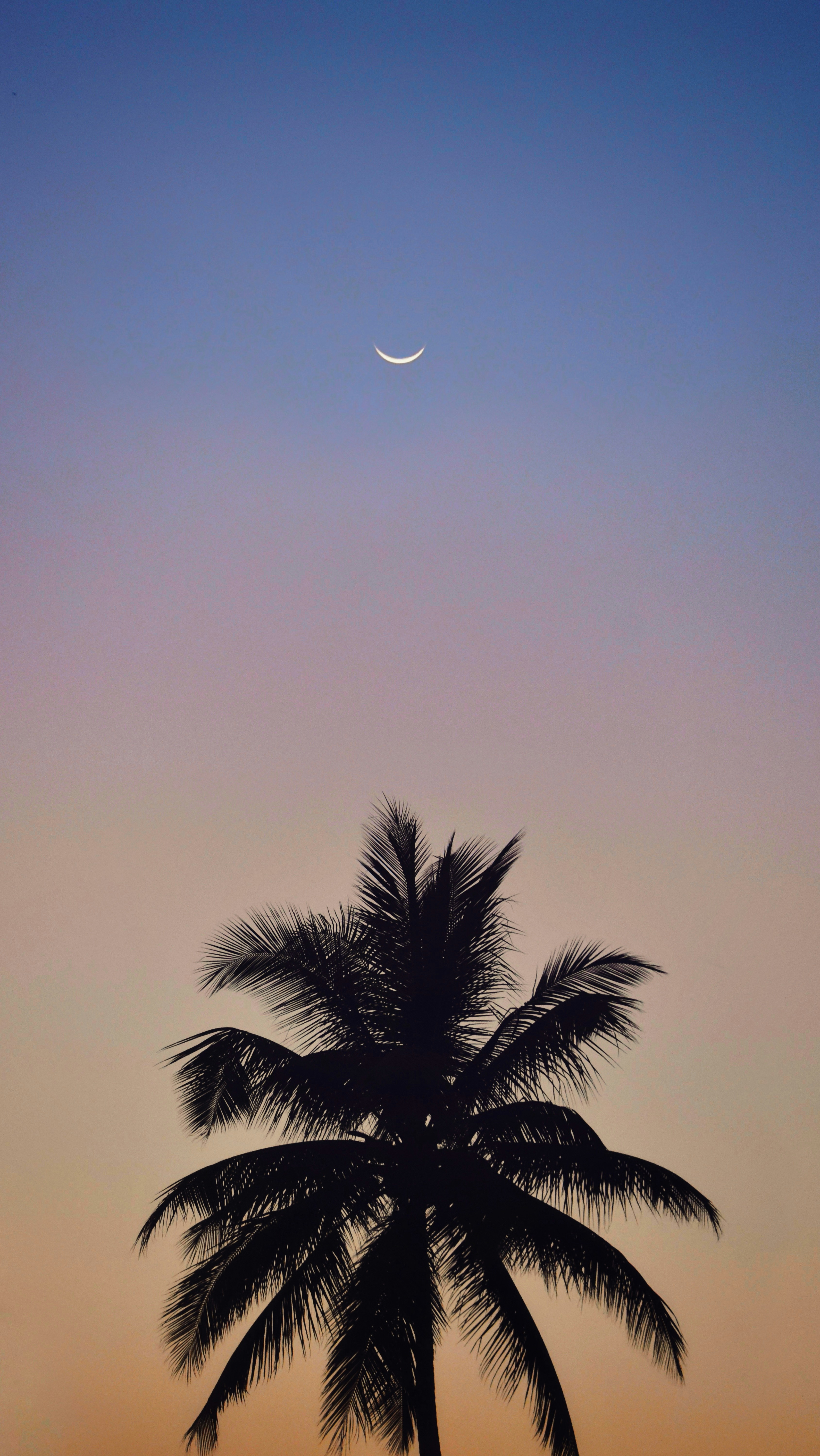 Photo by iamhrithikb