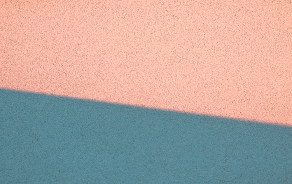 the shadow of a bird on a wall