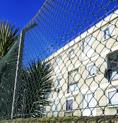A chain-link fence stands in the foreground with green plant leaves protruding through it. Behind the fence, a residential building with multiple windows is visible under a clear blue sky.