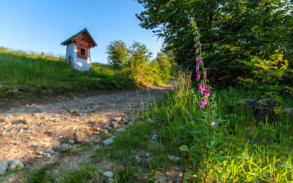 a small house sitting on top of a lush green hillside