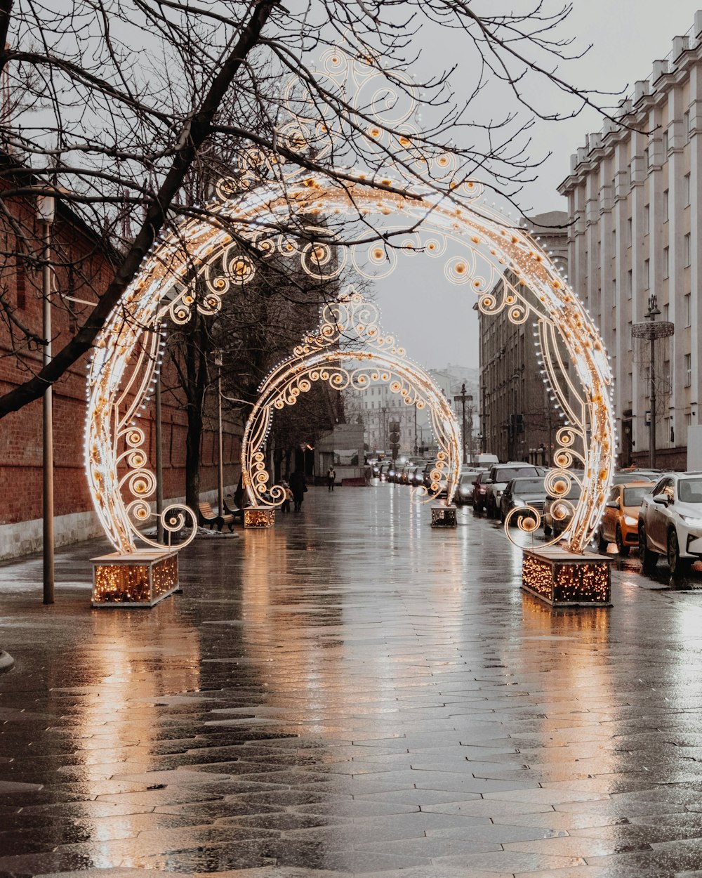 bare tree and arch LED lights