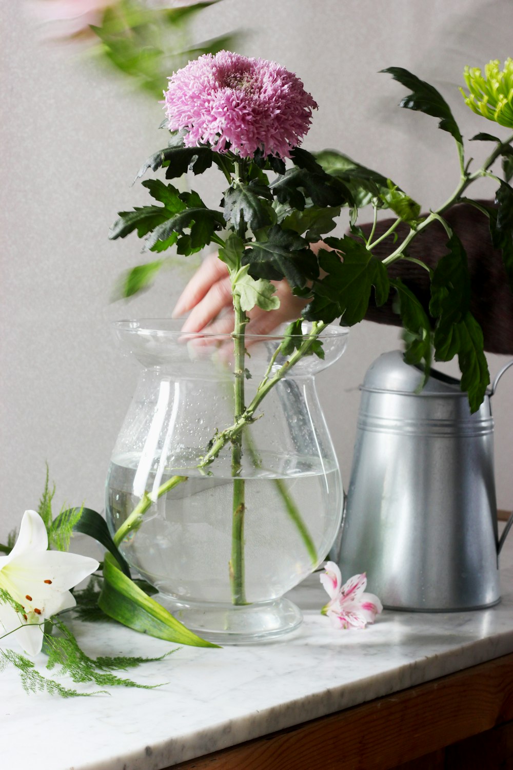 purple carnation flower on glass flower vase