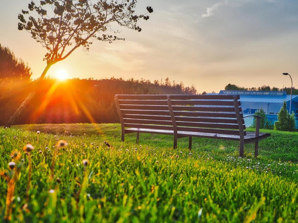 bench near tree