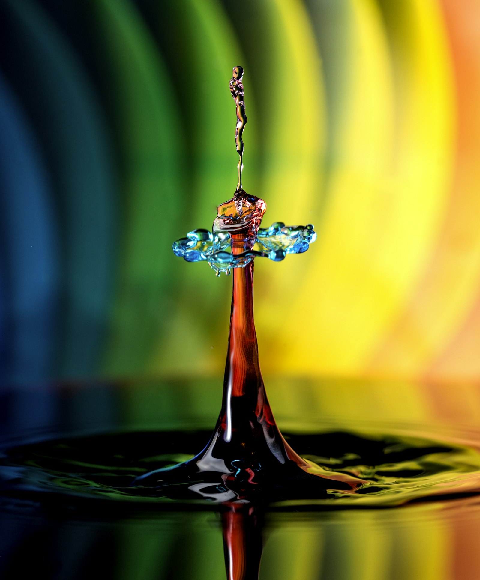 Nikon D810 + Sigma 105mm F2.8 EX DG OS HSM sample photo. Photography of water photography