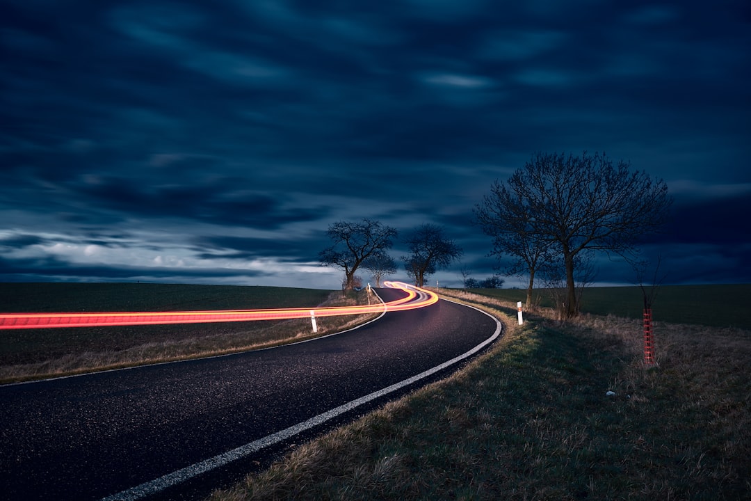 timelapse photography of road and bare trees