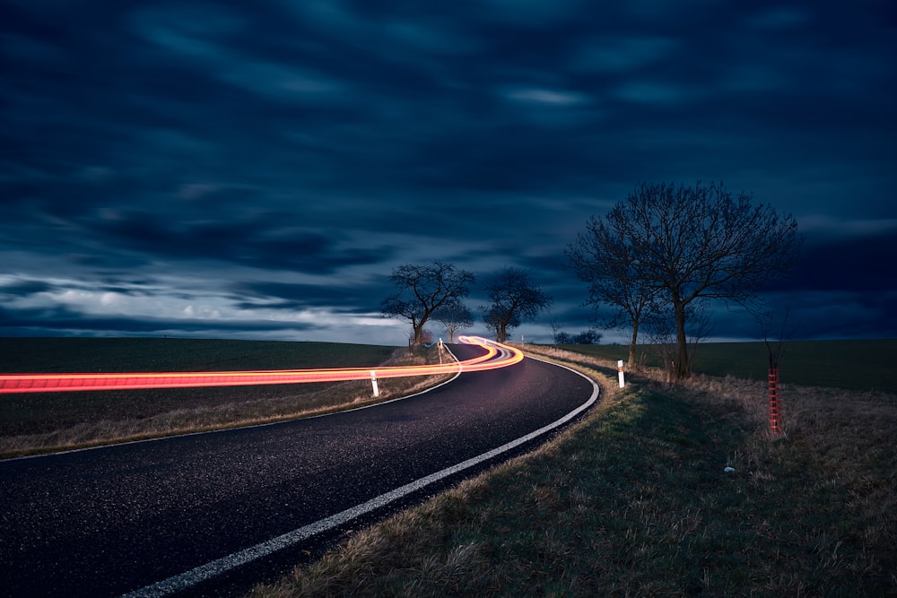 timelapse photography of road and bare trees