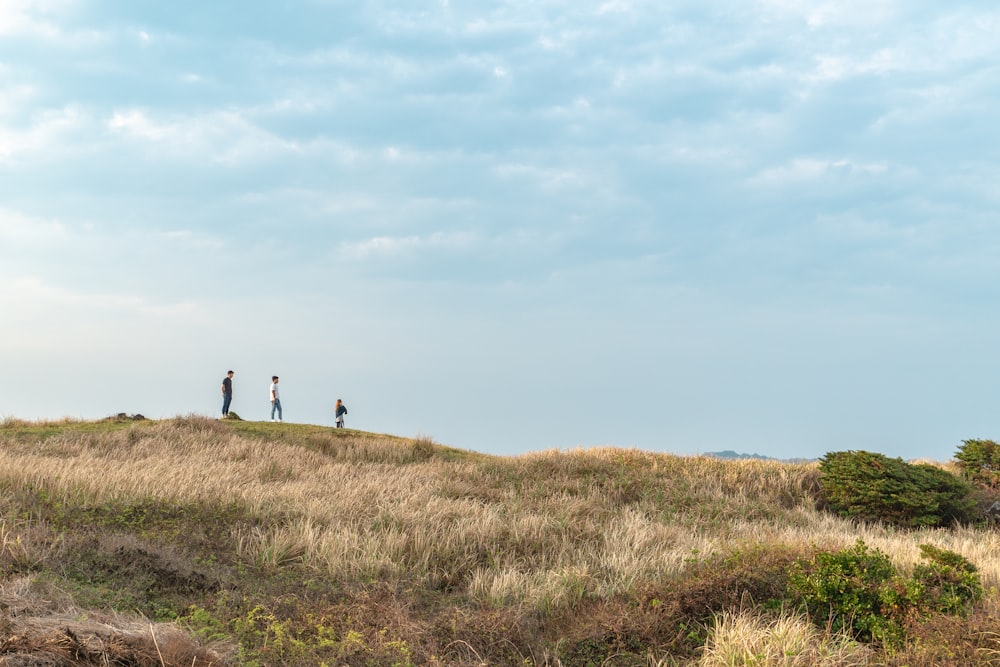 landscape photography of brown grass field