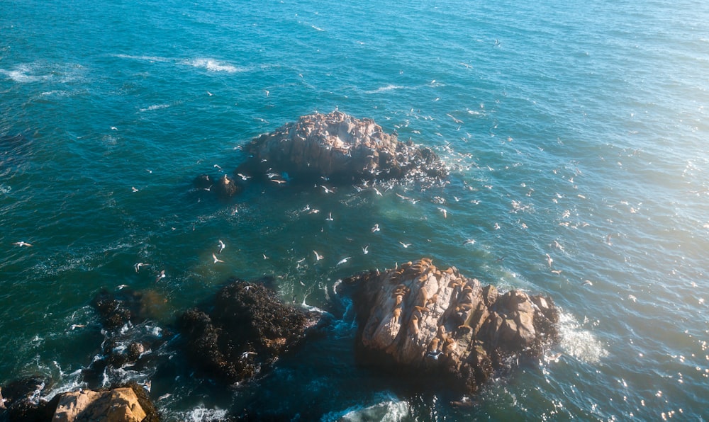 rochers sur la mer