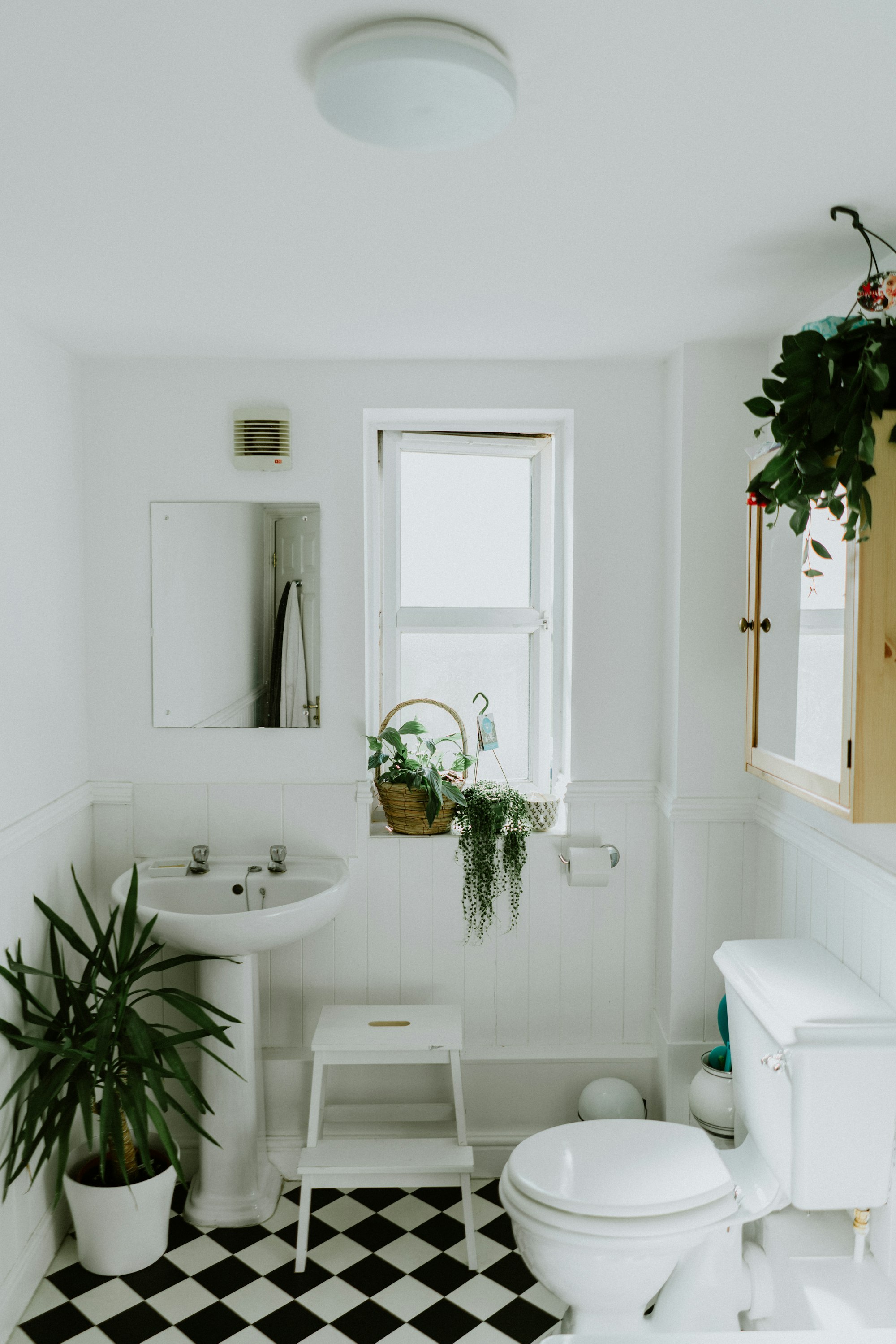 a bathroom with toilet and sink, decorated with plants