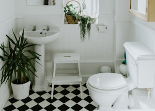 white ceramic pedestal sink