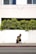 woman sitting near wall with plant