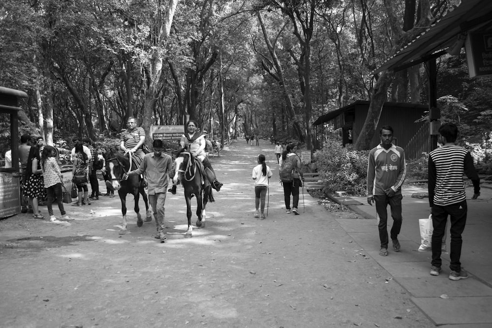 people walking in forest