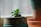 Close-up of a sleek, modern plant pot on a sunny windowsill with a thriving green plant.