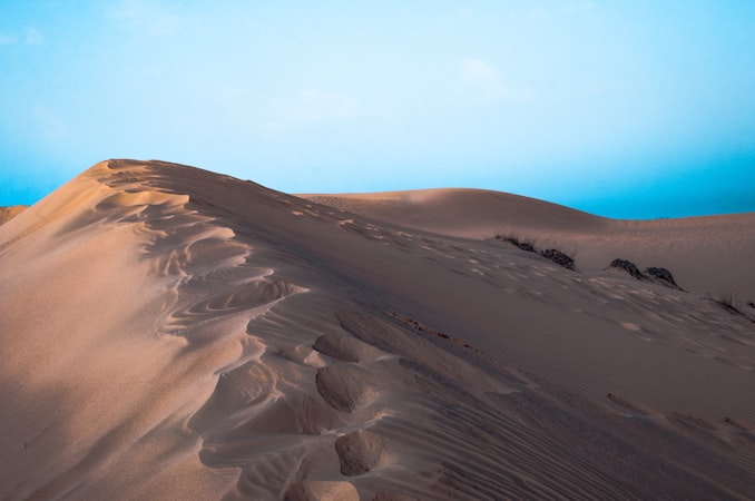 Vast desert sand dunes under warm light evoking the barren landscape of Arrakis