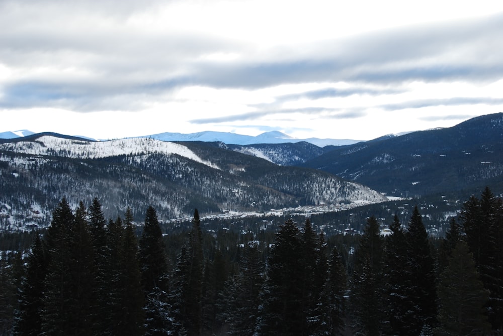 pine trees across white mountains during daytime