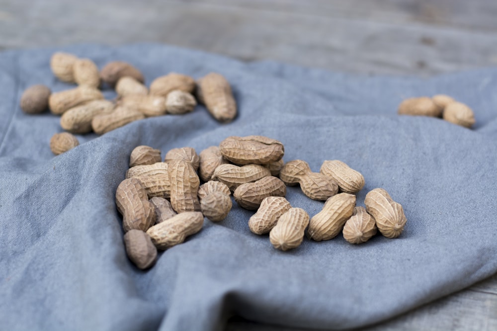 shallow focus photo of peanuts on blue textile