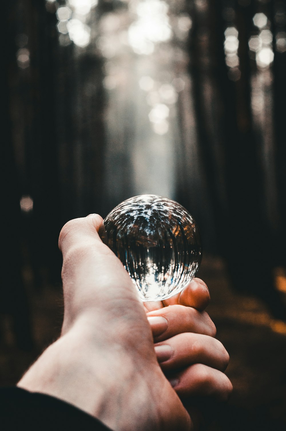 person holding clear glass ball across woods