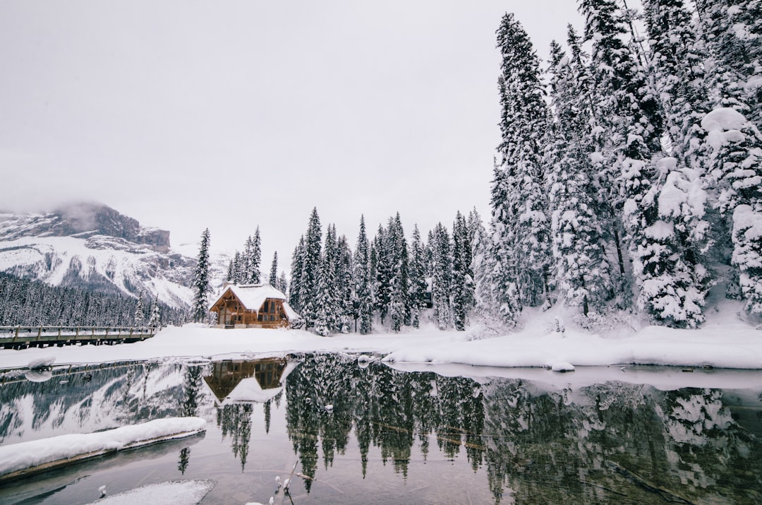 Flee the Heat: Charming American Summer Havens Transformed into Magical Winter Wonderlands