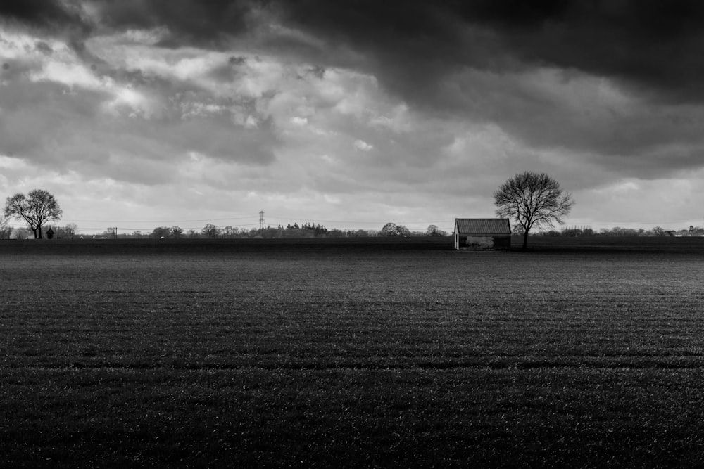 grayscale photo of house near tree