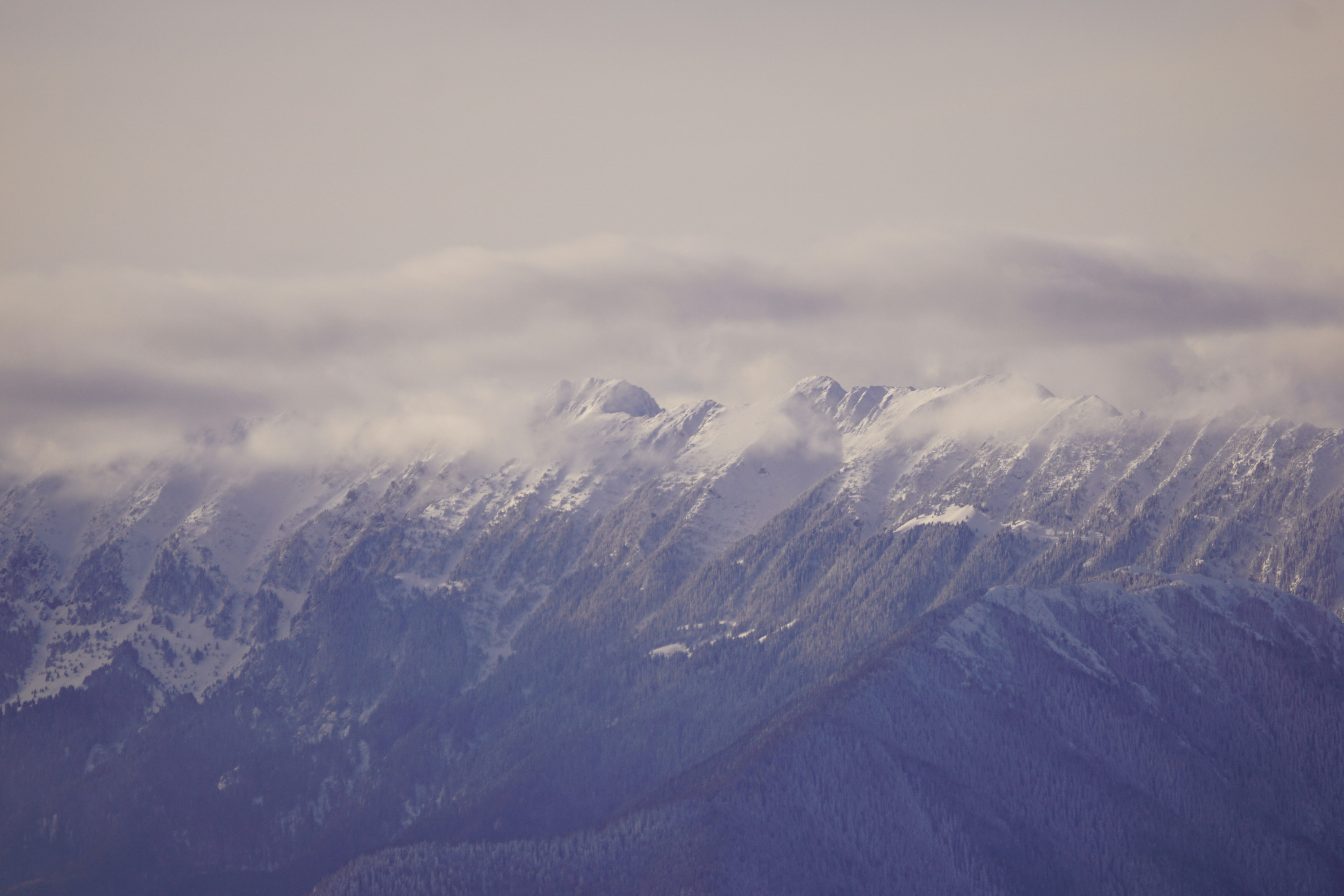 Photo by vladionut93