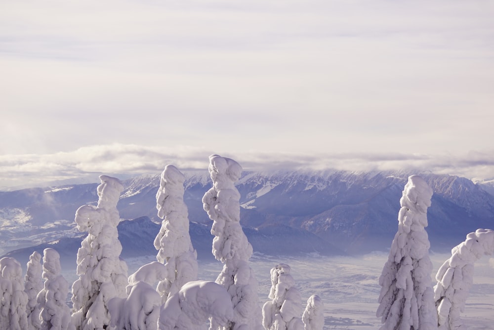 a person on skis standing on top of a snow covered mountain