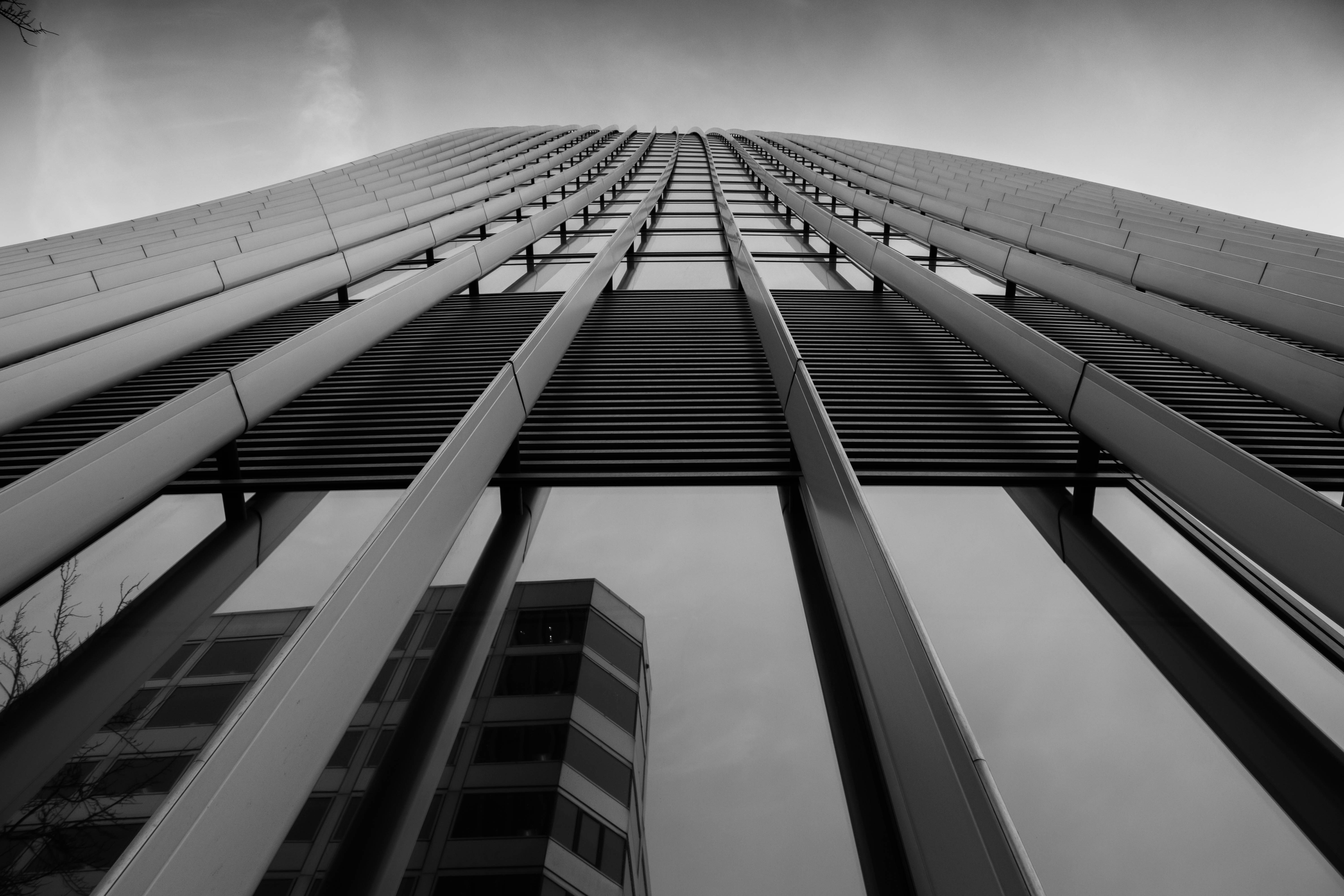 Photo by robert_iana10