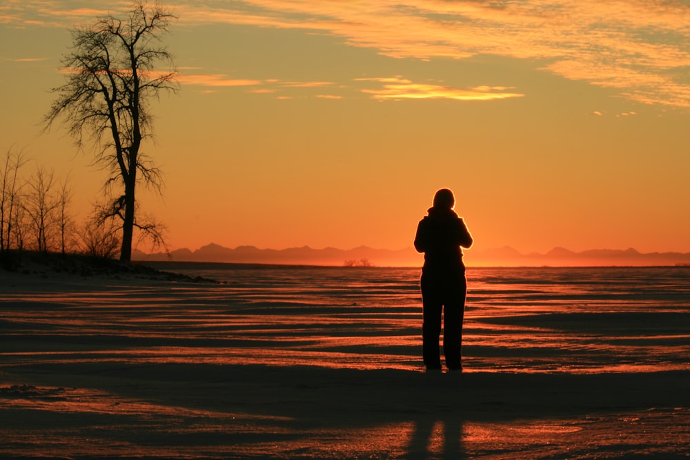 silhouette of person